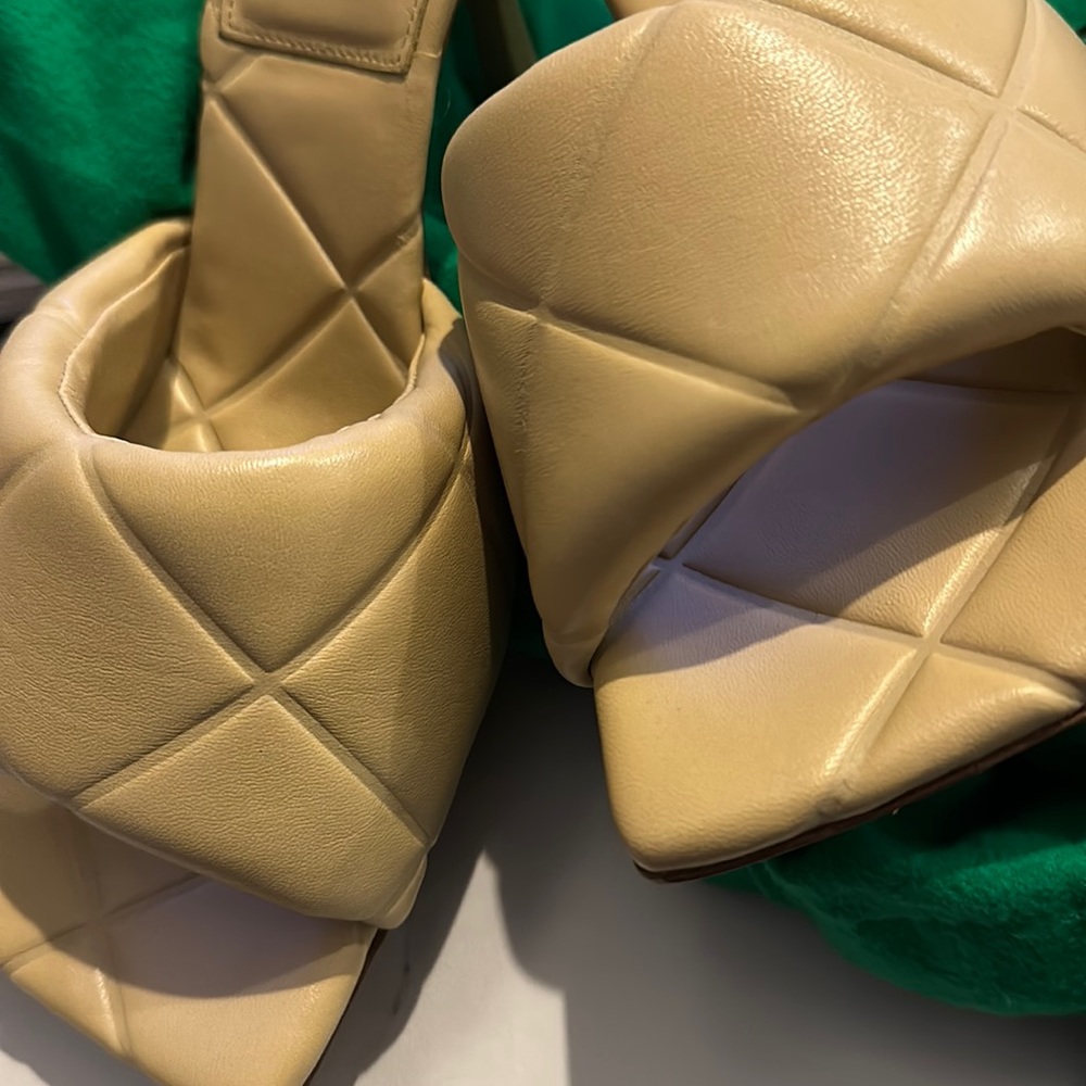 Bottega Veneta shoe worn twice. Size 9 shoe comes with shoe, box and bust bags.